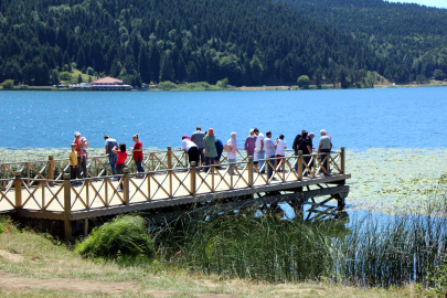 Bolu’da, ormanlara giriş ile milli park ve tabiat parklarında mangal yakmak 1 Temmuz'dan itibaren yasak