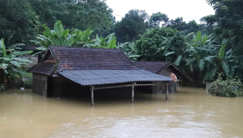 Vietnam'da sel: 8 ölü