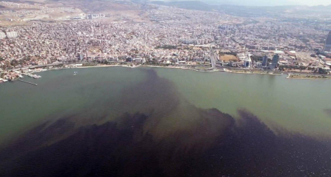Prof. Dr. Özkan: Körfez 1-2 yılda düzelir demekle kendimizi kandırmış oluruz