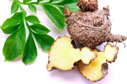 Zayıflamanın En Güvenli Yolu: Konjak Sakızı