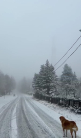 Uludağ’da kar kalınlığı 5 santimetreye ulaştı