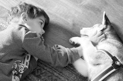 Zayu ile Başlayan Yolculuk: Bir Husky’nin Aileye Kattığı Dinginlik