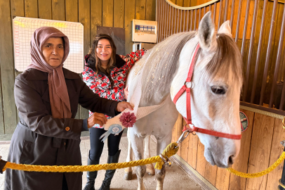 Şehir Stresine Karşı Doğadan Gelen Terapi: Atlı Terapiye İlgi Artıyor